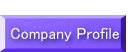  Company Profile